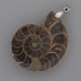 Pendentif ammonite 42 × 35 mm ±, longueur 52 mm ±, tailles assorties (pour 1 pièce)