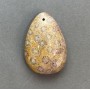 Pendentif en corail fossilisé 39×27 mm+